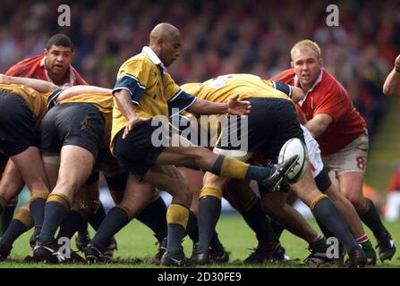 Austalian Scrum Half George Gregan bekommt den Ball weg, wie Wales Colin Charvis (L) und Scott Quinell auf ihre Rugby World Cup Quarter Final Spiel im Millennium Stadium in Cardiff schauen. Endergebnis: Wales 9 Australia 24. Stockfoto