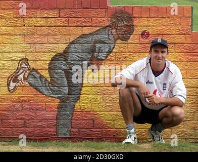 England-Cricketspieler Gavin Hamilton vor einem knisterndem Wandbild nach dem Netztraining auf dem Wanderers Cricket Ground in Johannesburg. Die englische Mannschaft hat den 1. Test an Südafrika auf ihrer Cricket-Tour durch South Afirca und Simbabwe verloren. Stockfoto