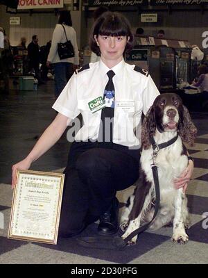Suchhund Scooby mit Zollbeamtin Jenny Wood am HM Customs & Excise Stand auf der Crufts Show im NEC in Birmingham. Scooby, ein siebenjähriger englischer springer-Spaniel, ist nach viereinhalb Jahren Karriere aus dem aktiven Dienst ausgeschiedener. *Scooby war der erfolgreichste Drogendetektor Hund, war verantwortlich für die Unterstützung und Erkennung zwischen 25m - 30m im Wert von Drogen. Stockfoto
