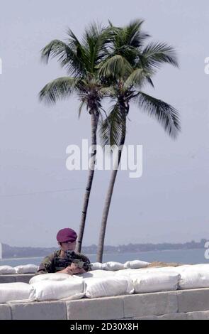 Pte. Dion Neddin ein 'para' aus Swansea an einem Fahrzeugcheckpunkt in der Nähe des Strandes in Aberdeen, Freetown, Sierra Leone. Britische und UN-Kommandeure in Sierra Leone bestätigten heute, dass es zwischen britischen Fallschirmjägern und nigrischen Soldaten „Reibungen“ gegeben habe. * in dem unruhigen westafrikanischen Land. Aber sowohl die britischen Streitkräfte als auch die Offiziere der Vereinten Nationen in der Hauptstadt Freetown waren entschlossen, die Probleme herunterzuspielen und darauf zu bestehen, dass sie schnell von den Kommandanten vor Ort gelöst werden würden. Siehe PA News Story VERTEIDIGUNG Sierra Leone. PA Foto: Tim Ockenden Stockfoto