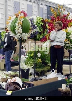 Eine Floristin hält inne, um ihre Arbeit auf der Chelsea Flower Show in London zu bewundern, wo Königin Elizabeth II. Und der Herzog von Edinburgh am 22/05/00 vor der allgemeinen Eröffnung am nächsten Tag zu Besuch sein werden. Stockfoto