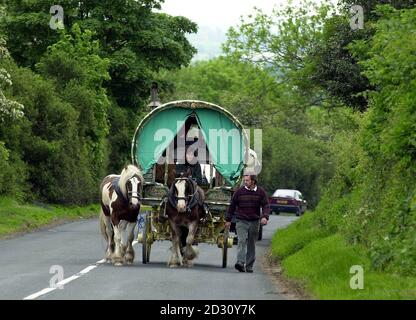 Ein Wohnwagen auf der langen Straße nach Appleby. Reisende aus allen Teilen Großbritanniens machen sich auf den Weg zur berühmten Appleby Horse Fair, die traditionell am ersten Wochenende im Juni stattfindet, wenn die kleine Pennine-Stadt Tausende von Reisenden beherbergt. * und Pferdehändler, die sich messen und Pferde verkaufen. Die Straße nach Appleby für die Versammlung sieht die Pennine Straßen durch Nordengland mit malerischen Wohnwagen wie diese in der Nähe von Richmond, North Yorkshire übersät. Stockfoto