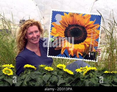 Der berühmte Gärtner Charlie Dimmock stellt den neuesten Satz von Millennium-Briefmarken im Eden Project von Cornwall vor. Sie wurde von jungen Freiwilligen begleitet, um Royal Mail's Tree and Leaf Issue zu lancieren, die eine riesige Sonnenblume auf ihrem ersten Klasse Stempel zeigt. * ...zur Feier der Umwandlung eines redundanten Steinbruchs in St. Austell china durch das Eden Project. Stockfoto