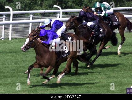 Noverre und Jockey Frankie Dettori (Nr. 9) gewinnen die Champagne Lanson Sussex Stakes von No Excuse Needed und Jockey Kieren Fallon (Nr. 8) mit Black Minnaloushe und Jockey Mick Kinnane (Nr. 6) Dritter bei Glorious Goodwood. Stockfoto