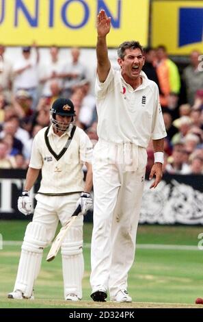 Der englische Andrew Caddick (rechts) feiert das Wicket von Damien Martyn am vierten Tag des vierten npower-Tests in Headingley, Leeds. Stockfoto