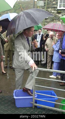 Britains Prince of Wales folgt den strengen Desinfektionsverfahren, für die Maul- und Klauenseuche, während eines Besuches im Flock Tearoom auf der Yew Tree Farm in Rosthwaite in Borrowdale.der Prinz Charles verbrachte den Tag in Cumbria. * wo er mit den Bauern vor Ort sprechen sollte, die seit Beginn des Ausbruchs im Februar von der Seuche betroffen sind, sowie mit den Menschen im Tourismushandel, die ebenfalls während der Krise gelitten haben. Stockfoto