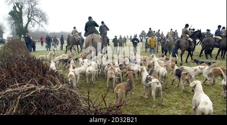 Fuchsjäger mit den Jagdhunden des Duke of Beaufort ziehen zu Beginn des Meet in Tormarton, nahe Chipping Sodbury, ab. Die Jagd nahm ernsthaft wieder auf, nachdem die Maul- und Klauenseuche den umstrittenen Sport für einen Großteil des Jahres zum Stillstand gebracht hatte. Stockfoto