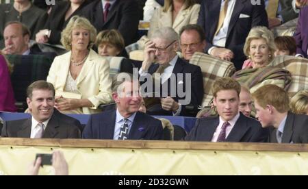 Der Prinz von Wales (2. Links) und Camilla Parker Bowles (2. Reihe links), der Prinz von Wales wird flankiert von seinem Bruder, dem Herzog von York (links) und dem ältesten Sohn Prinz William, mit Prinz Harry ganz rechts sitzen in der Royal Box in den Gärten des Buckingham Palace. * für das zweite Konzert zum Gedenken an das Goldene Jubiläum der britischen Königin Elizabeth II Rund 12,000 Karten wurden per Stimmzettel für die Partei im Palast verteilt, und zehntausende weitere versammelten sich draußen, um die Musik zu genießen. Später züntete die Königin ein Leuchtfeuer an und beobachtete ein Feuerwerk. Am Dienstag wird sie zum Th reisen Stockfoto