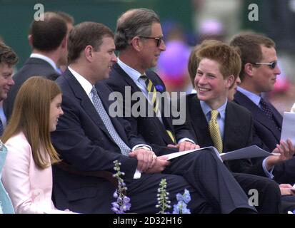 Prinz Harry spricht mit seinem Vater, dem Prince of Wales (Sonnenbrille) und dem Herzog von York, während Mitglieder der königlichen Familie eine Parade in der Mall im Rahmen der Feierlichkeiten zum Goldenen Jubiläum der britischen Königin Elizabeth II. Beobachten * früher war die Königin zur St. Paul's Cathedral für einen Danksagedienst gereist und hatte zu ihren Ehren ein Bankett in Guildhall angesetzt. Die Parade, die mehr als drei Stunden dauerte, umfasste Bands vom Notting Hill Carnival, ehrenamtliches Personal, Kinder der Chicken Shed Theatre Company und eine Reihe von Wohnzimmern, die die fünf Jahrzehnte von ihr widerspiegeln Stockfoto