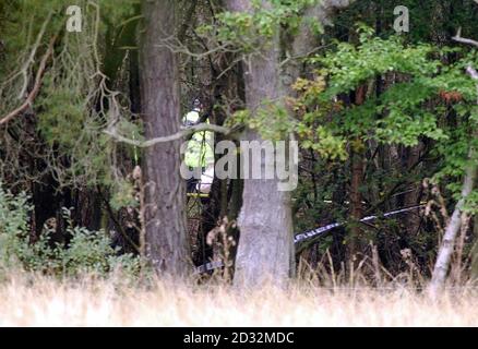 Die Polizei setzt ihre Untersuchung im Yateley Heath Forest fort, in der Nähe der Flotte in Hampshire, nachdem menschliche Überreste von Mitgliedern der Öffentlichkeit gefunden wurden. Stockfoto