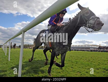 Diakali, geritten von Jockey Ruby Walsh, auf dem Weg zum Sieg in der AES Champion Four Year Old Hürde während des AES Festival Family Day des Festivals 2013 in Punchestown Racecourse, Co Kildare, Irland. Stockfoto