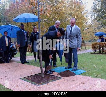 Der ehemalige südafrikanische Präsident Nelson Mandela pflanzt eine Eiche bei einem Besuch des Grabes von Diana, Prinzessin von Wales, in Althorp, Northamptonshire, wo er Earl und Gräfin Spencer (hinten) traf. * Herr Mandela, 84, legte während des Besuchs auch einen Kranz an der Beerdigungsstätte der Insel nieder und diskutierte mit Earl Spencer über ein neues Wohltätigkeitsprojekt. Stockfoto