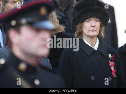 Sara Jones nimmt an der Gedenkfeier für ihren verstorbenen Ehemann Oberstleutnant H Jones VC in Kingswear, Devon, Teil, wo zu seinen Ehren eine Gedenktafel enthüllt wurde. * LT Col Jones erhielt das Victoria Kreuz für auffällige Galanterie, stürmten einen argentinischen Maschinengewehrgraben während des Falklandkrieges vor 20 Jahren. Andernorts verstummten Büros, Geschäfte und öffentliche Plätze im ganzen Land, als die zwei-Minuten-Schweigeminute den Moment markieren sollte, in dem die Waffen am Ende des Ersten Weltkriegs - der elften Stunde des elften Tages des elften Monats im Jahr 1918 - verstummten. Stockfoto