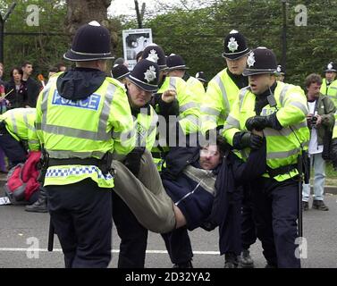 Ein Anti-Kriegs-Protestler, der von der Polizei während eines Sitzproteste vor das Ständige Hauptquartier der britischen Streitkräfte in Northwood, im Nordwesten Londons, geschleppt wird. Stockfoto