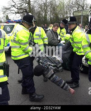 Ein Anti-Kriegs-Protestler, der von der Polizei während eines Sitzprotest vor das Ständige Hauptquartier der britischen Streitkräfte in Northwood, im Nordwesten Londons, geschleppt wird. Stockfoto