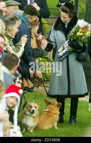 Die Prinzessin Royal (rechts) spricht mit Wellwishers, als sie von der St. Mary Magdalene Kirche auf dem königlichen Anwesen in Sandringham, Norfolk, nach dem Weihnachtsgottsdienst von Mitgliedern der königlichen Familie besucht verlässt. Die Königin machte ihren ersten öffentlichen Auftritt heute seit einer Operation an ihrem Knie und Gesicht. Sie kam in einem Auto mit der Gräfin von Wessex zum Gottesdienst. Stockfoto