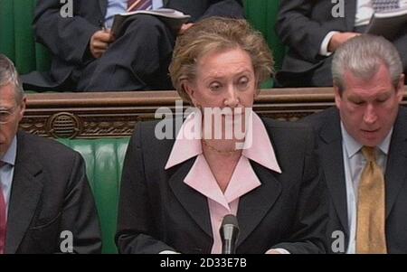 Umweltministerin Margaret Beckett sollte den Abgeordneten mitteilen, dass die Regierung GM-Mais unterstützt. Ihre Aussage wird, nach Berichten, die Genehmigung der sofortigen Pflanzung zu unterbieten. Stockfoto