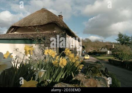 Gittisham, East Devon. Ein Grundbesitzer, der 27 gemietete Immobilien in einem Postkartendorf verkauft, wurde heute von den Mietern beschuldigt, ihnen die Möglichkeit zu verweigern, mit ihm über den Umzug zu sprechen, der die Gemeinde verblüfft hat. Richard Markers Combe Estate verkauft die Häuser im malerischen Dorf Gittisham, östlich von Devon. Agenten für den 55-jährigen, in Kanada geborenen Herrn Marker, der das 3,500 Hektar große Anwesen geerbt hat, als er 21 war, übergaben am Mittwoch Briefe an die Mieter und gaben ihnen Bescheid. Hl190304 Stockfoto