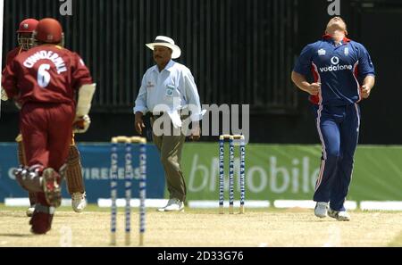 Englands Darren Gough (rechts) zeigt seine Frustration, nachdem West Indies' Shivnarine Chanderpaul während seiner Innings von 84 Läufen während des ersten One-Day International im Bourda Oval, Georgetown, Guyana, vier Läufe lang den Ball trifft. Stockfoto