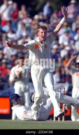 NUR FÜR REDAKTIONELLE VERWENDUNG - KEINE KOMMERZIELLE VERWENDUNG: Australiens Brett Lee appelliert am zweiten Tag des 3. Tests im WACA Ground, Perth, Australien, an das Wicket von Englands Marcus Trescodick. Stockfoto