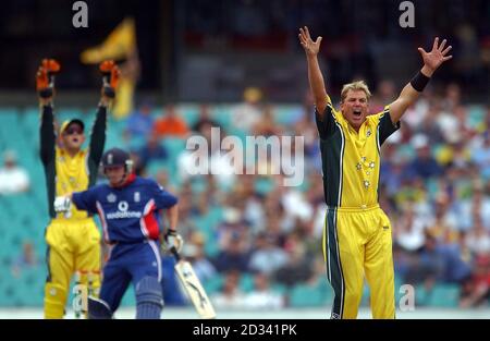 Der australische Bowler Shane Warne appelliert an die lbw-Entscheidung, nur gegen REDAKTIONELLE VERWENDUNG zu appellieren. KEIN KOMMERZIELLER EINSATZ:der englische Schlagmann Paul Collingwood, während des ersten Internationalen 1-Tages-Finales auf dem Sydney Cricket Ground, Sydney, Australien.England wurde in ihren ersten Innings für 117 Runs mit 41 Überläufen herausgebockt. Stockfoto