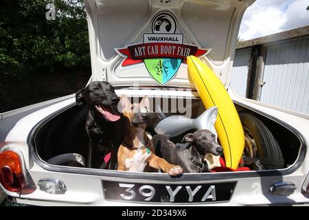 REDAKTIONELLE VERWENDUNG NUR Purdy a Lurcher, Maggie an English Bull Terrier und Lottie a Whippet, sitzen im Stiefel eines alten Vauxhall Viva, in einem Studio in Camberwell, Süd-London, vor der Vauxhall Art Car Boot Fair, Die am Sonntag, 14. Juni 2015, im Brick Lane Yard stattfinden wird. Stockfoto