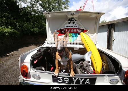 Purdy a Lurcher, Maggie an English Bull Terrier und Lottie a Whippet sitzen im Kofferraum eines alten Vauxhall Viva in einem Studio in Camberwell, im Süden Londons, im Vorfeld der Vauxhall Art Car Boot Fair, die am Sonntag, 14. Juni 2015, im Brick Lane Yard stattfindet. Stockfoto