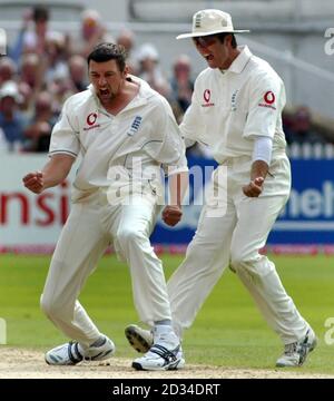 Der englische Steve Harmion feiert das Wicket des australischen Simon Katich mit Kapitän Michael Vaughan am vierten Tag des vierten npower-Test-Spiels in Trent Bridge, Nottingham, Sonntag, 28. August 2005. DRÜCKEN Sie VERBANDSFOTO. Bildnachweis sollte lauten: Gareth Copley/PA. Stockfoto