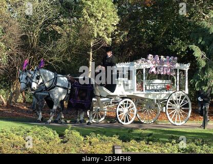 Der Sarg des ermordeten Teenagermodells Sally Anne Bowman kommt am Freitag, 4. November 2005, mit dem Pferd und der Kutsche in Croydon Crematorium an. Die 18-Jährige wurde am 25. September nach einer Nacht mit Freunden sexuell angegriffen und zu Tode erstochen, nur wenige Meter von ihrem Haus in Südlondon entfernt. Siehe PA Story BEERDIGUNG Sally. DRÜCKEN Sie VERBANDSFOTO. Bildnachweis sollte lauten: Michael Stephens/PA Stockfoto