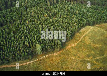 Luftaufnahme des goldenen Kiefernwaldes am Zlatibor Berg in Serbien von Drohne pov Stockfoto