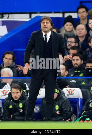 Chelsea manager Antonio Conte Stockfoto