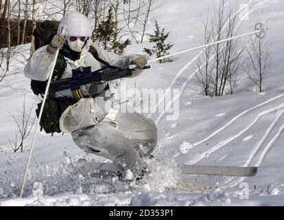 Royal Marine Reserve Commandos aus ganz Großbritannien in Vinje, Südnorwegen, wo sie einige der weltweit härtesten Winter Kampftraining als Teil der Übung Haarspring unterziehen. Stockfoto