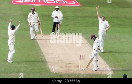 Der englische Steve Harmison feiert am vierten Tag des zweiten npower-Test-Spiels im Headingley Cricket Ground, Leeds, das Wicket von Jerome Taylor von West Indies. Stockfoto