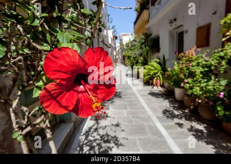 Rethymno Altstadt Straße Kreta Griechenland Stockfoto