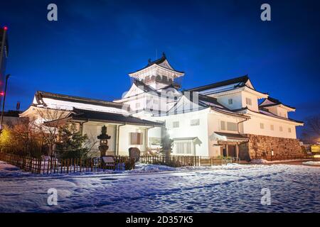 Toyama, Japan an einem Wintermorgen im Toyama Castle. Stockfoto