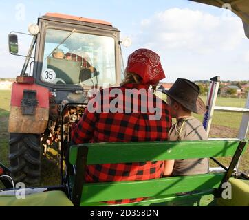 01. Oktober 2020, Sachsen, Wermsdorf: Cora Lechner fährt mit ihrem Lebenspartner Johannes Boos und ihren Kindern per Traktor zur Bisongehege. Anfang des Jahres übernahm die junge Frau eine Herde von 60 Bisons, die ihr Vater 2003 gründete. Gemeinsam mit ihrem Lebenspartner Johannes Boos betreut sie die Zucht und ökologische Haltung der Wildrinder, die in Nordamerika weit verbreitet sind. Sie finden auf 40 Hektar frisches Weidegras und erhalten Bio-Heu als Ergänzungsfutter. Das Fleisch der bis zu 900 Kilogramm schweren Pflanzenfresser wird in ihrem Hofladen als frisches Mea verkauft Stockfoto