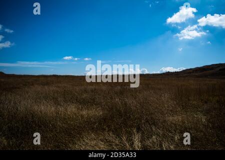 Natürlicher Blick auf die gefalteten Berge und üppig grüne Täler mit klarem Himmel und Wolken von Cherrapunji, Meghalaya, Nordostindien Stockfoto