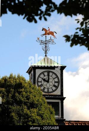 Royal Dublin Horse Show Uhrturm mit Wetterfahne Stockfoto