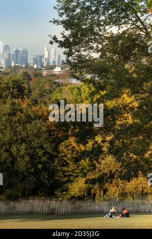 Großbritannien, London, Lambeth, Norwood, Sonnenanbeter im Norwood Park mit Wald und der Skyline von Londons Finanzzentrum am Horizont Stockfoto