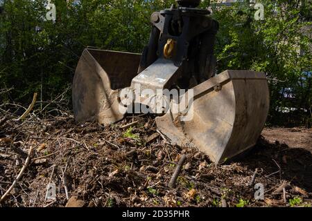 Schwere Industriemaschinen Schaufeln Holzzweige und Schmutz des Bodens. Hydraulische Schaufel heben Holz und Abfall aus dem Garten Stockfoto