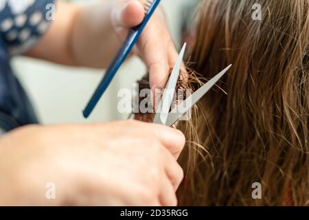 Nahaufnahme von Friseurhänden, die braune Haare zu Hause schneiden. Professionelle Stylisten schneiden Haare Spliss. Stockfoto