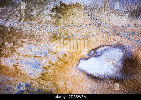 Abstrakt geknackt Land Textur. Draufsicht von der Drohne. Schöner Hintergrund für Ihr Projekt Stockfoto