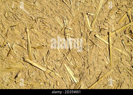 Textur aus Holz, Foto als Hintergrund Stockfoto