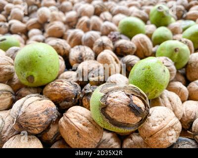 Walnüsse öffnete die Schale und die gesammelten Walnüsse sind in der Masse gehalten und gebrochen Walnuss, die Zusammensetzung auf dem Tisch Shell-Mutter ist. Stockfoto
