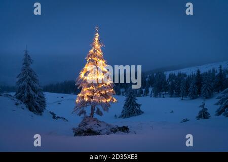 Urlaub Landschaft mit Weihnachtsbaum, Schnee und leuchten im Winter Berge. Neues Jahr feier Konzept Stockfoto