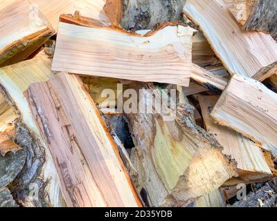 Birkenbrennholz. Zerbrochene Birkenstämme sind in Unordnung. Stockfoto