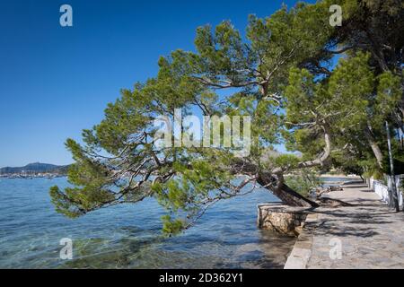 Port de Pollensa oder ‘Puerto Pollensa’, wie es manchmal geschrieben wird, ist ein Mallorca-Stadt und Resort am nördlichen Rand der Insel. Stockfoto