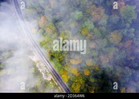 Kurvige Landstraße im farbigen Herbstwald mit Nebel, Luftaufnahme von oben, Konzept der Emissionsreduktion und Ökologie Stockfoto