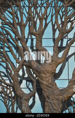 Kasan, Russland, 16. September 2020. Fragment des Palastes der Bauern - ein großer Bronzebaum. Ministerium für Landwirtschaft Stockfoto