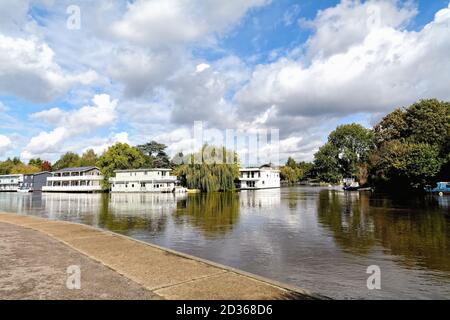 Große Hausboote auf Taggs Island mit der Themse im Vordergrund, vom Flussufer aus gesehen bei Molesey Surrey England Stockfoto